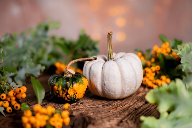 Pumpkin Fall Decorations